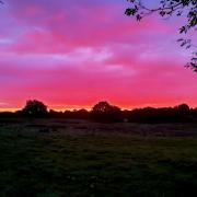Fiery sunrise over the fields at Belton farm by Callum Beddows