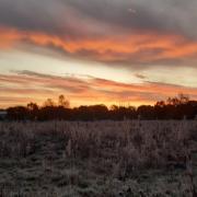 Jane Eaton’s stunning sunrise over Prees Heath Common