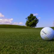General pic of a golf ball on a green.