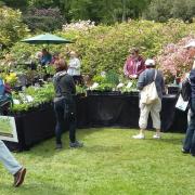 A previous plant fair in the castle grounds.