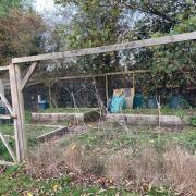 The space at Lower Heath Primary School that needs clearing.