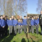 School pupils of Ellesmere Primary School planting their cherry tree