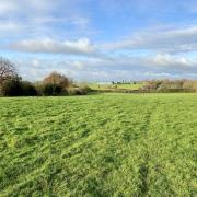 The land adjacent to Alkington Road, in Whitchurch.