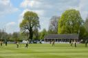 Whitchurch’s Heath Road ground hosts Shropshire’s NCCA Trophy match against Norfolk on Sunday.