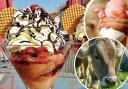 The best ice cream parlours in and around north Shropshire.