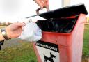 Generic photo of a dog waste bin.