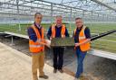 Simon Baynes MP with Ben Goh and Mark O’Neill in the new forest greenhouse at Maelor Forest Nurseries.