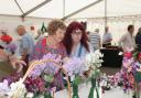 The Wem Sweet Pea Show is back for another year.