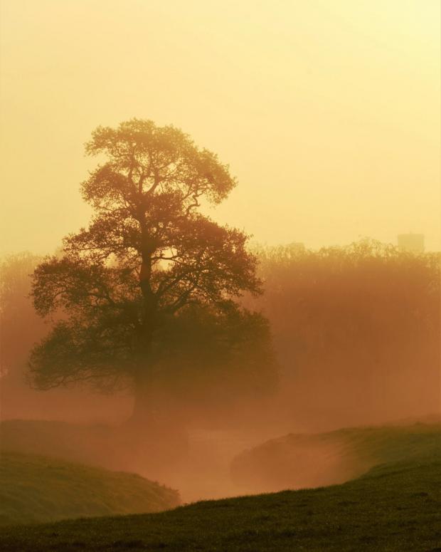 Whitchurch Herald: A misty morning in Aston. Picture by Brian Roberts.