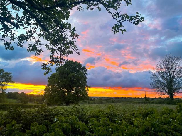Whitchurch Herald: Shropshire skies. Picture by Laura Butler.