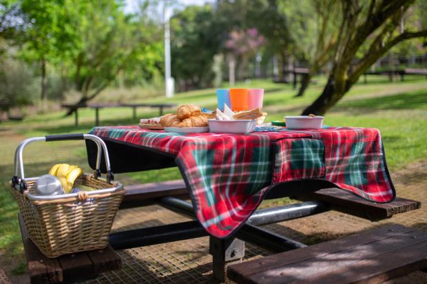 Whitchurch Herald: A picnic laid out on a bench. Credit: Canva