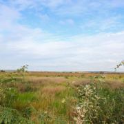 The Meres and Mosses at Whixall has been annoucned as part of a number of WIldlife Trust projects.