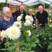 Members of the Whitchurch Flower Club are ready for their annual show