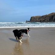 Pictured: Dalmore Beach, Isle of Lewis