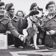 Rob the War Dog from Elelsmere with his regiment.