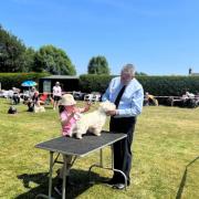 Crufts chairman Tom Mather was guest and judge at the Whixall Dog Show.