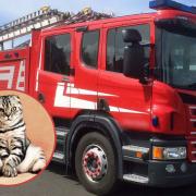 Cat stuck in chimney in Wem, rescued by fire crews