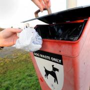 A dog waste bin.