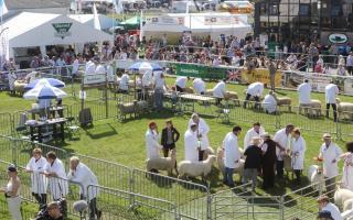 This year's Royal Welsh Show will be the first held in person since 2019